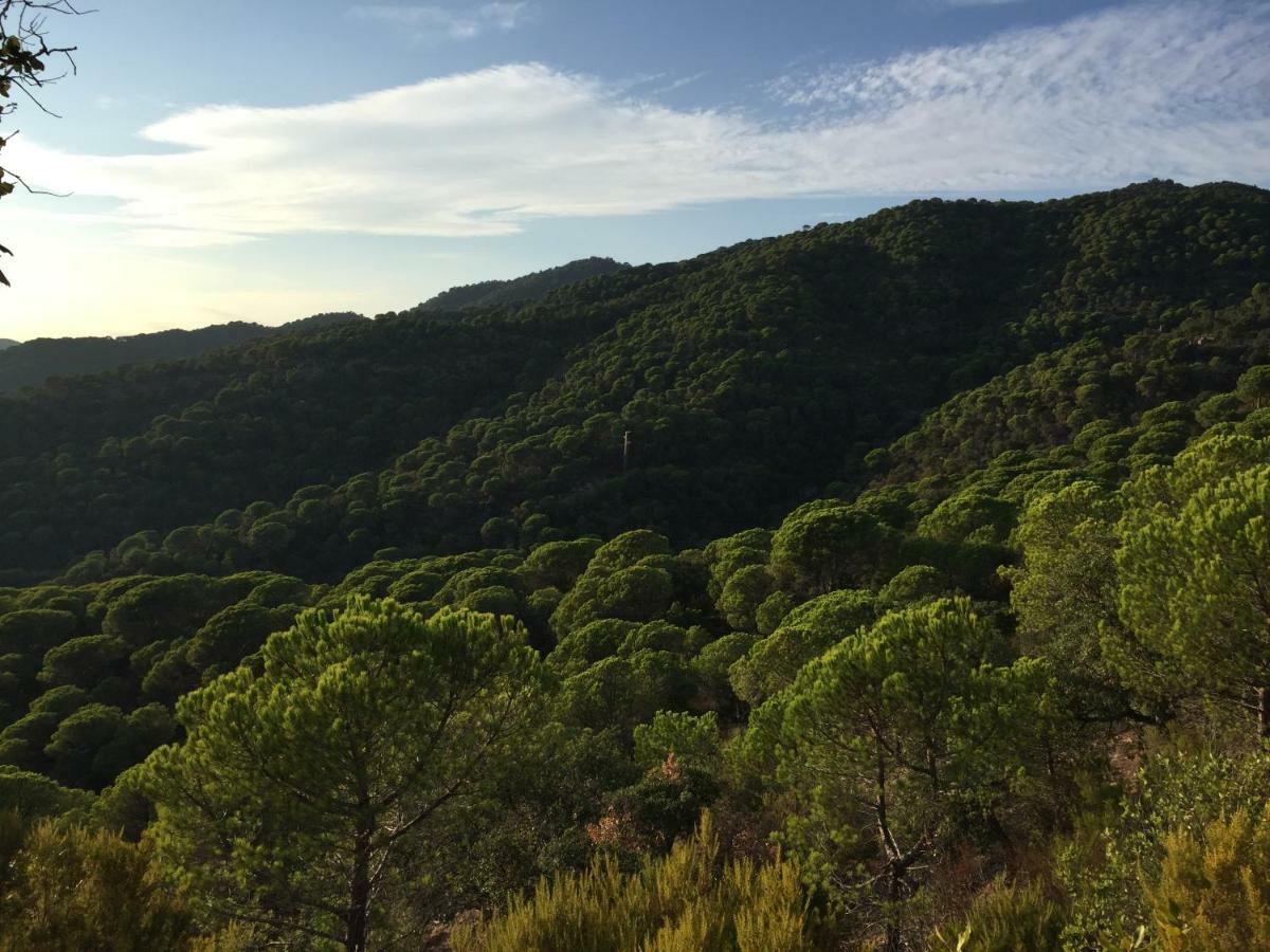 Can Cadiretes Llagostera Dış mekan fotoğraf